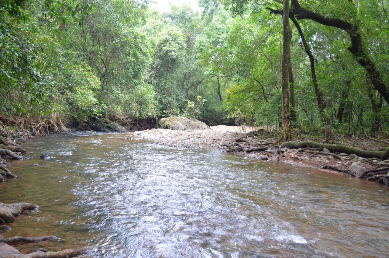 Mangaal Farmstay Goa Vichondrem Dış mekan fotoğraf