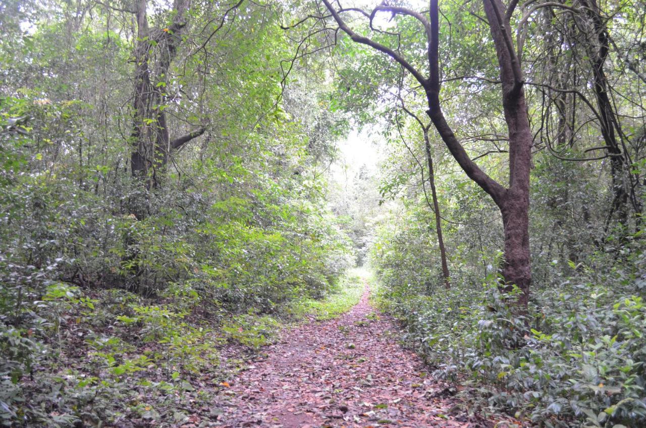 Mangaal Farmstay Goa Vichondrem Dış mekan fotoğraf