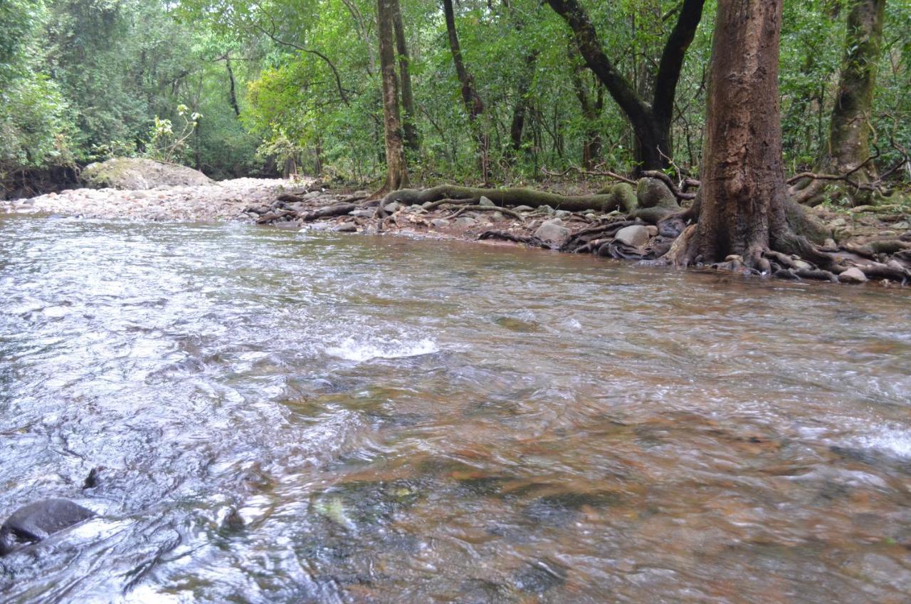 Mangaal Farmstay Goa Vichondrem Dış mekan fotoğraf